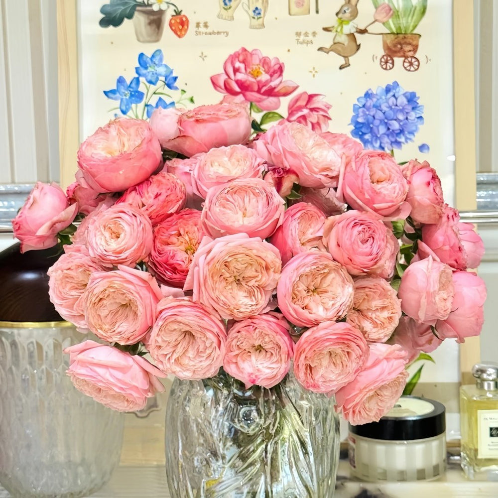 Harper Rose Plant｜竖琴师 image 6
