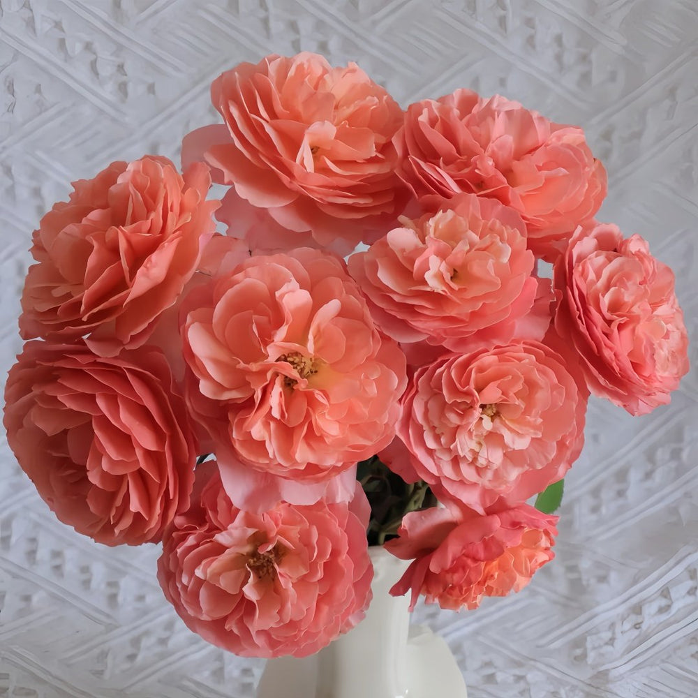 Kaori Kazari Rose Plant|香织装饰 image 7