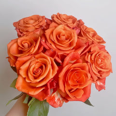 Orange Party Rose Plant|金色交响 image 1