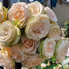 Lady Eva Rose Plant｜伊娃夫人 image 1