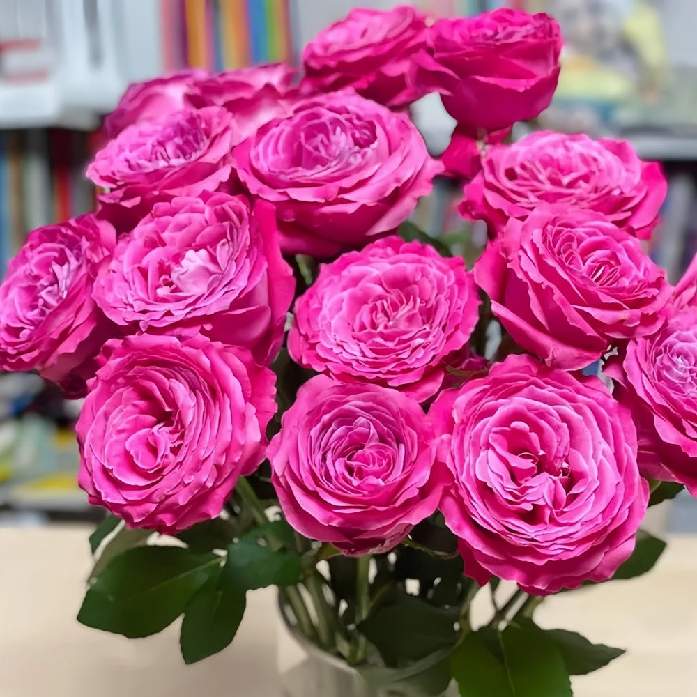 All four love Rose Plant｜四爱 image 1