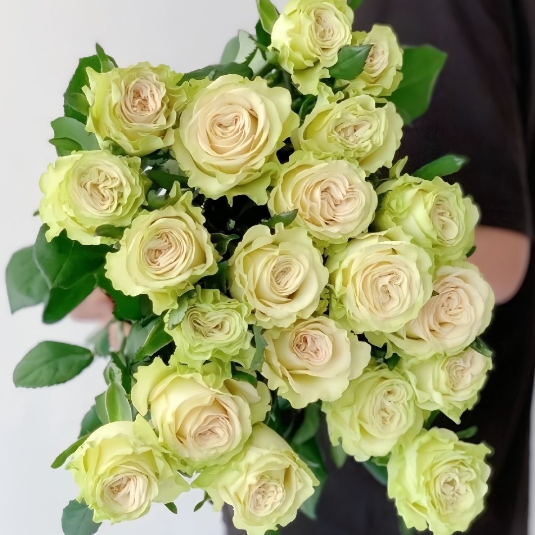 Dynamic Rose Plant|琉璃翠 image 8