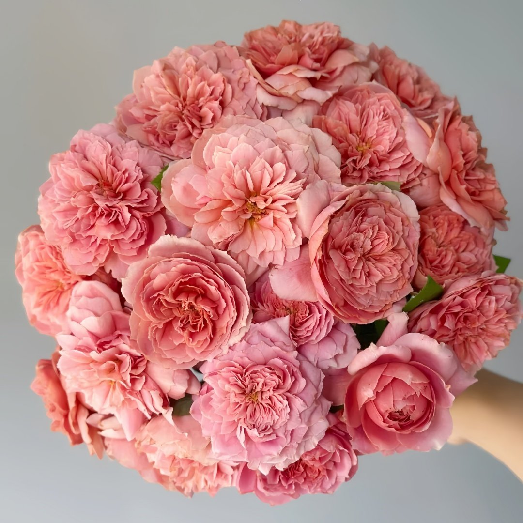 Moulin de la galette Rose Plant｜煎饼磨坊 image 4
