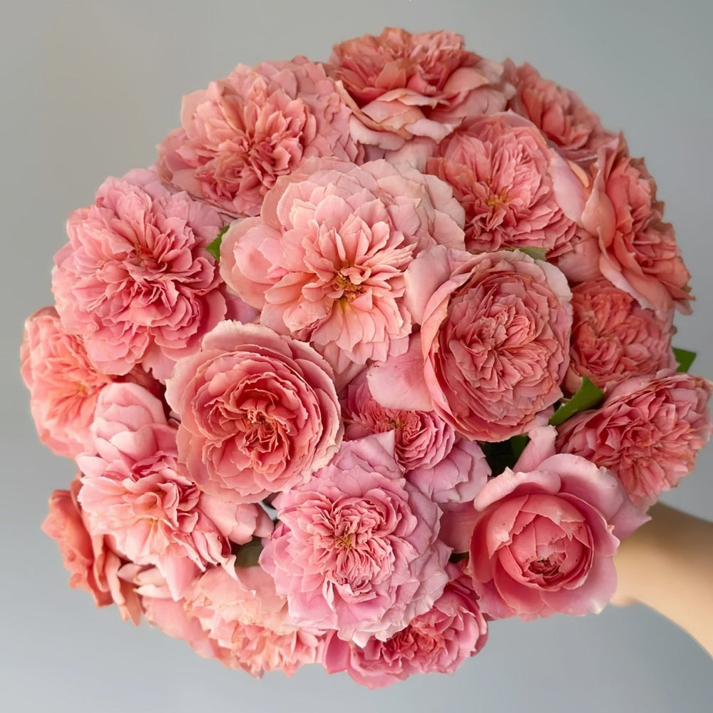 Moulin de la galette Rose Plant｜煎饼磨坊 image 4
