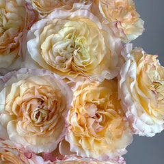 Stylist Rose Plant｜造型师 image 2