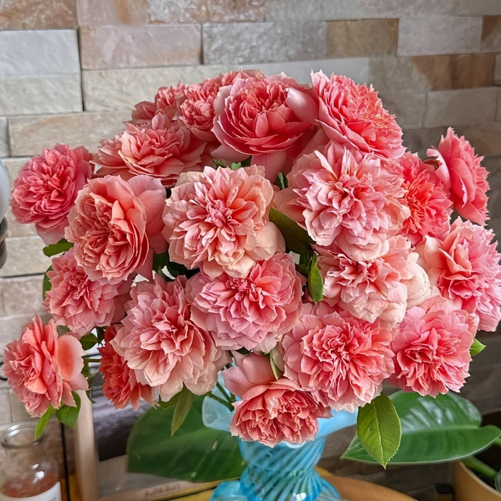 Moulin de la galette Rose Plant｜煎饼磨坊 image 6