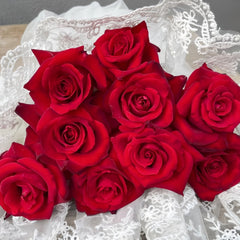 Carola Rose Plant｜卡罗拉 image 3