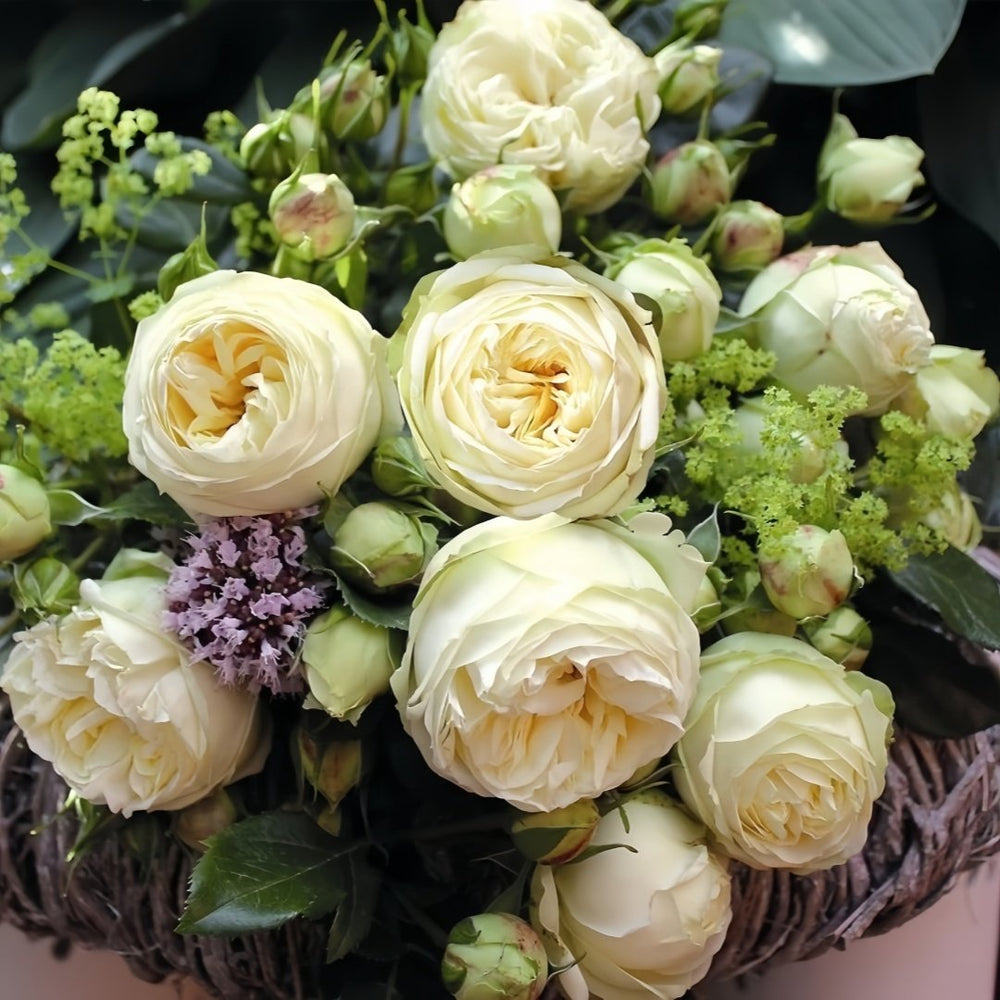 Wedding Piano Rose Plant|婚礼钢琴 image 2