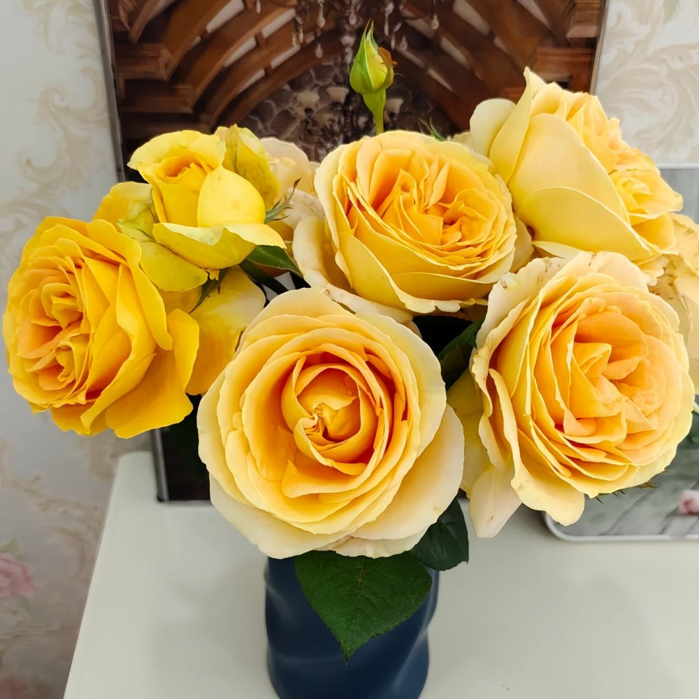 Global Beauty Rose Plant|黄烛光 image 7