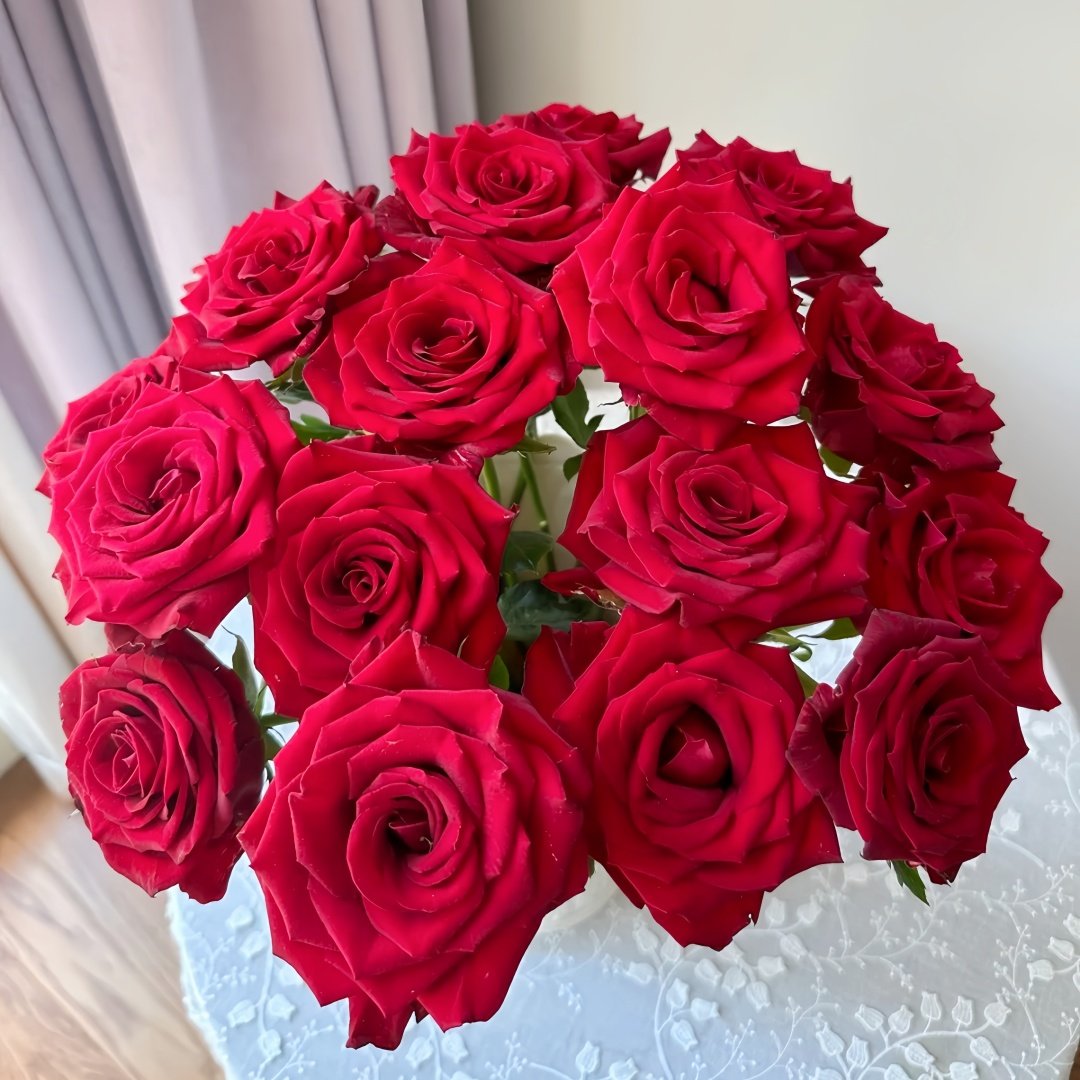 Bloody Rose Plant|布拉迪 image 0