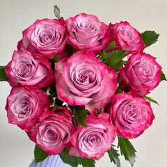 Deep Purple Rose Plant｜一片深紫 image 1