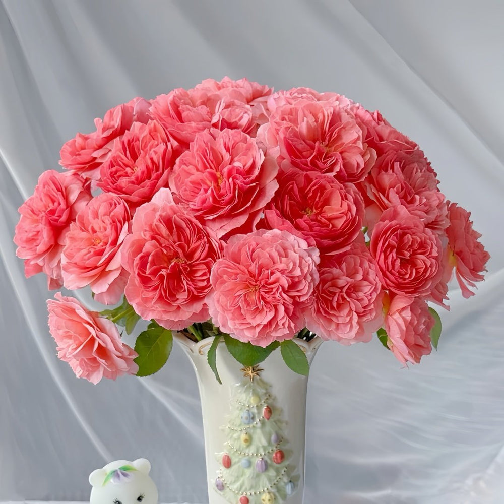 Kaori Kazari Rose Plant|香织装饰 image 8
