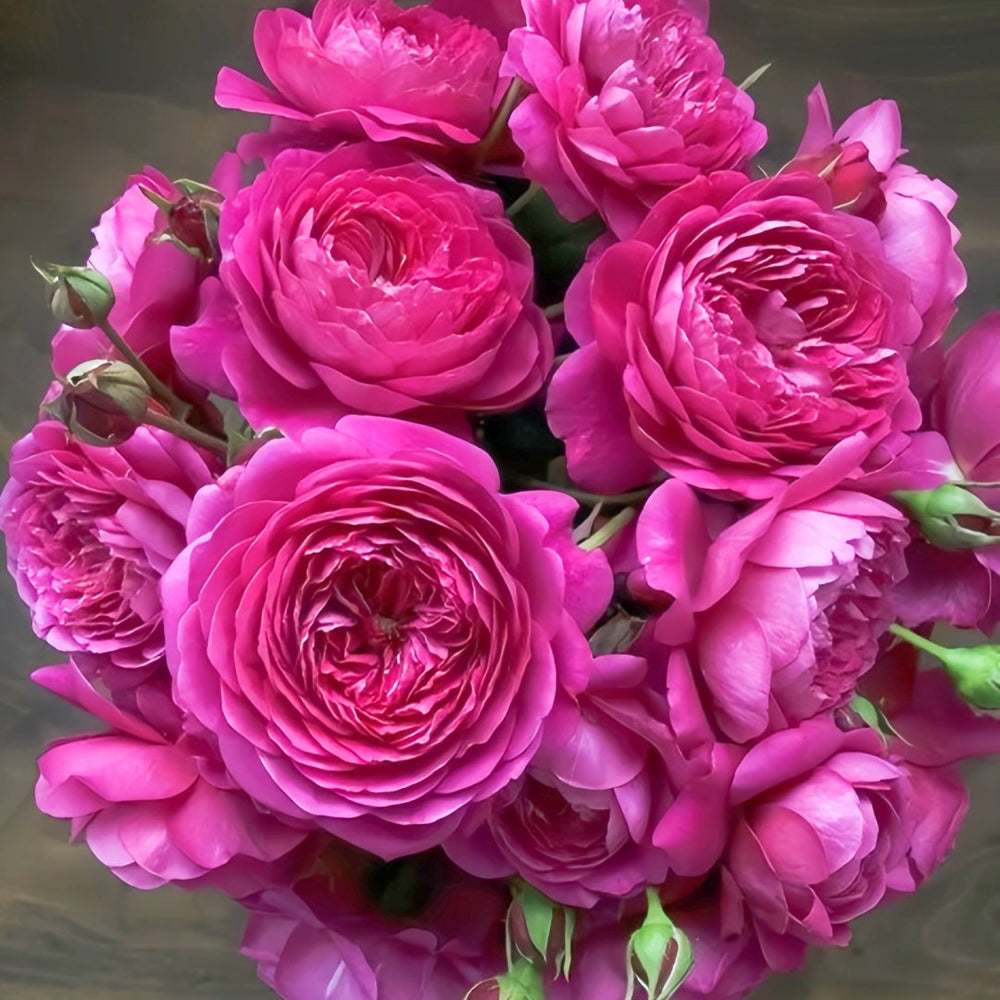 Cartonnage Rose Plant|法式布盒 image 8