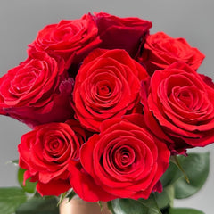 Nina Rose Plant｜妮娜 image 0