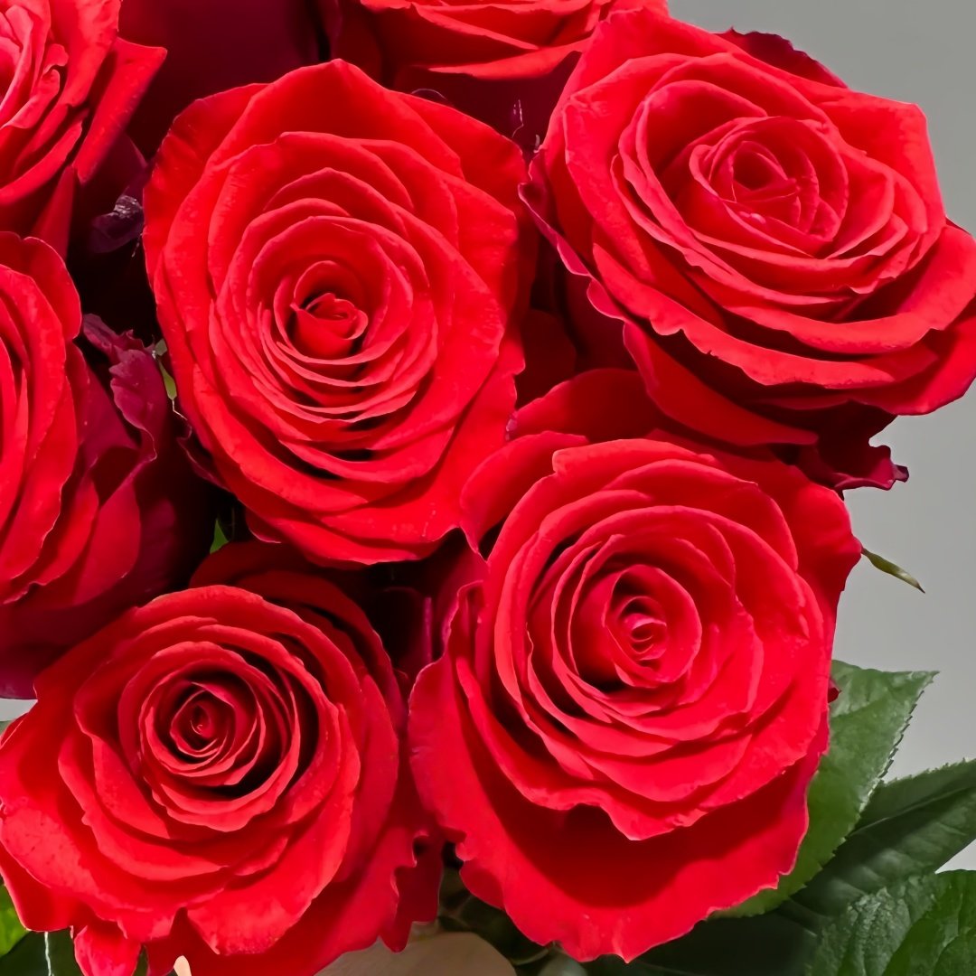 Nina Rose Plant｜妮娜 image 6