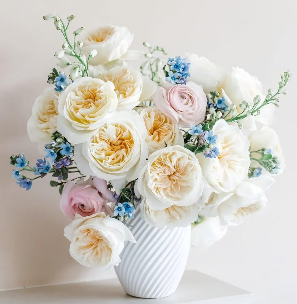 Bessie Rose Plant|贝茜 image 8