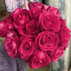 Cherry Avalanche Rose Plant｜樱桃雪山 image 1