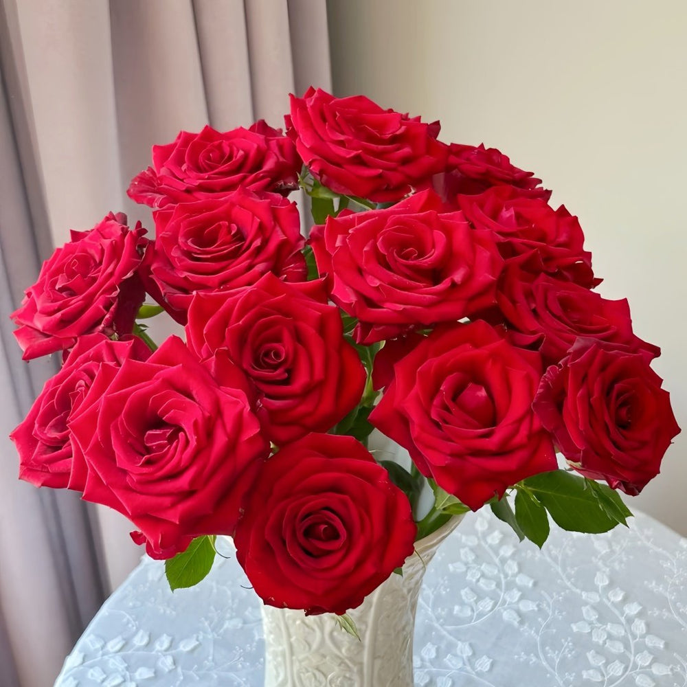 Bloody Rose Plant|布拉迪 image 2