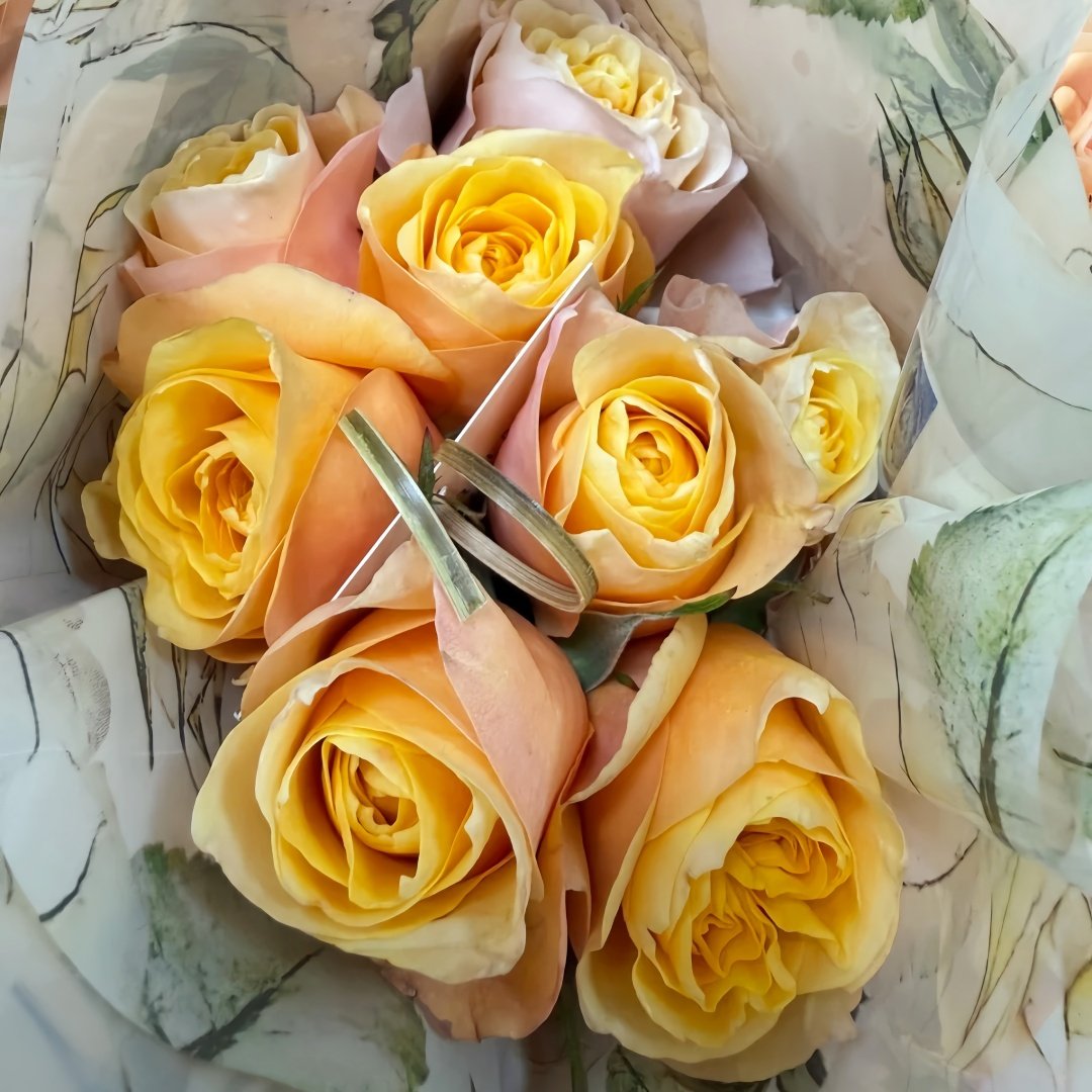 King's Cross Rose Plant｜国王十字架 image 6