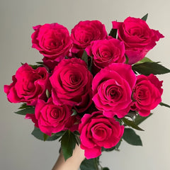 Gotcha Rose Plant|高盛/高胜 image 0
