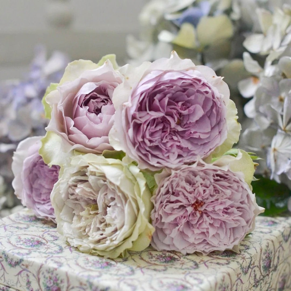 Coffret Rose Plant | 首饰盒 image 9