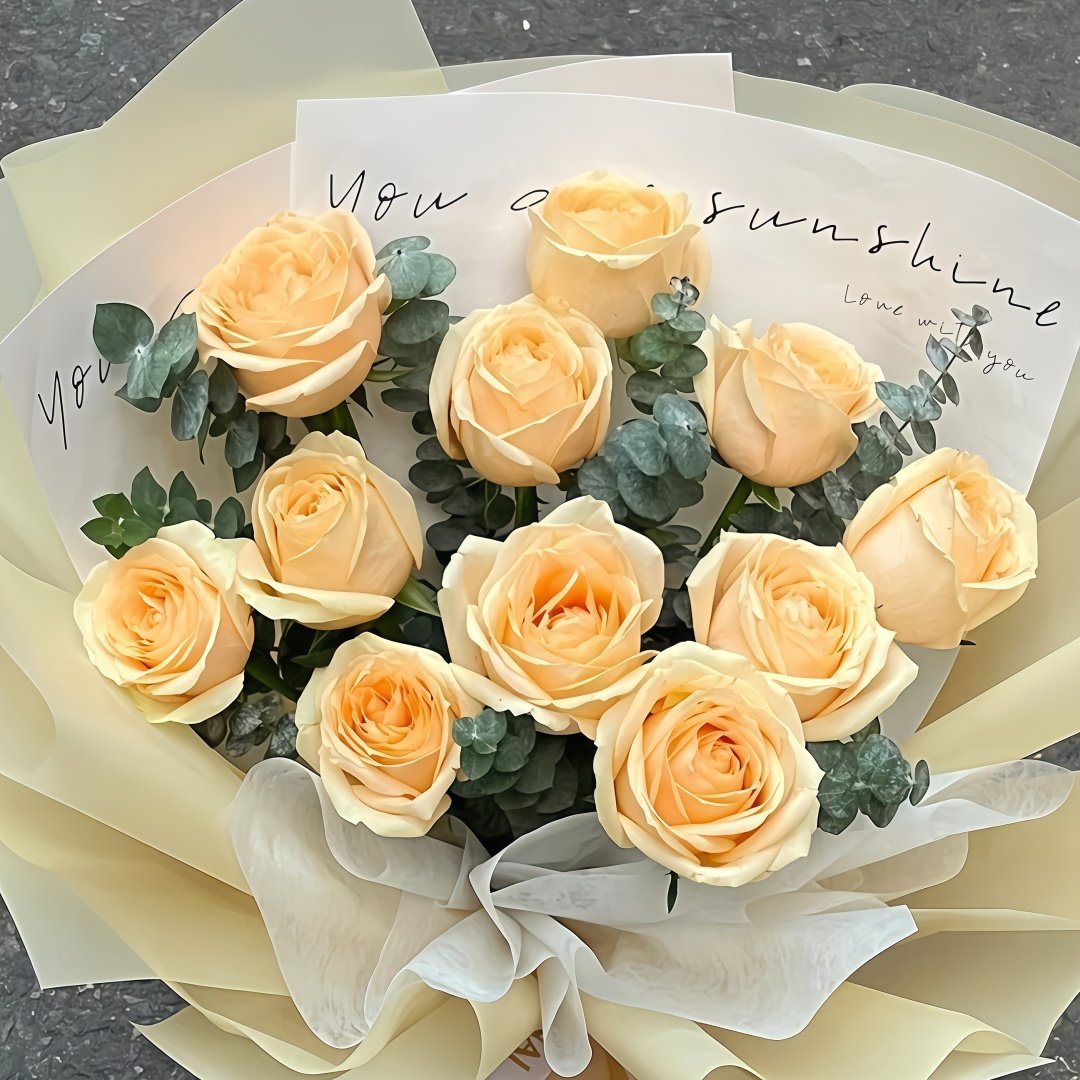 Peach Avalanche Rose Plant | 蜜桃雪山 image 6