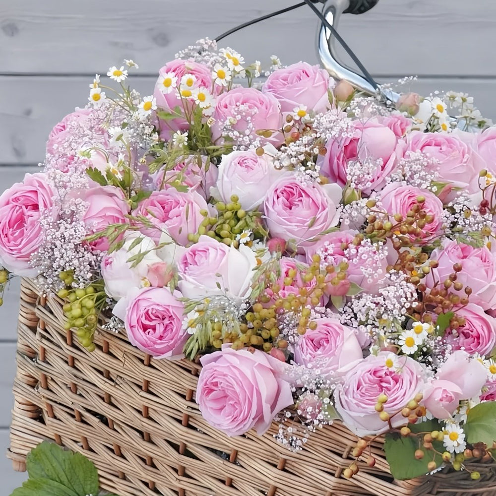 Wellenspiel Rose Plant|仙女泉 image 7