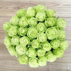 Wasabi Rose Plant｜芥末 image 0