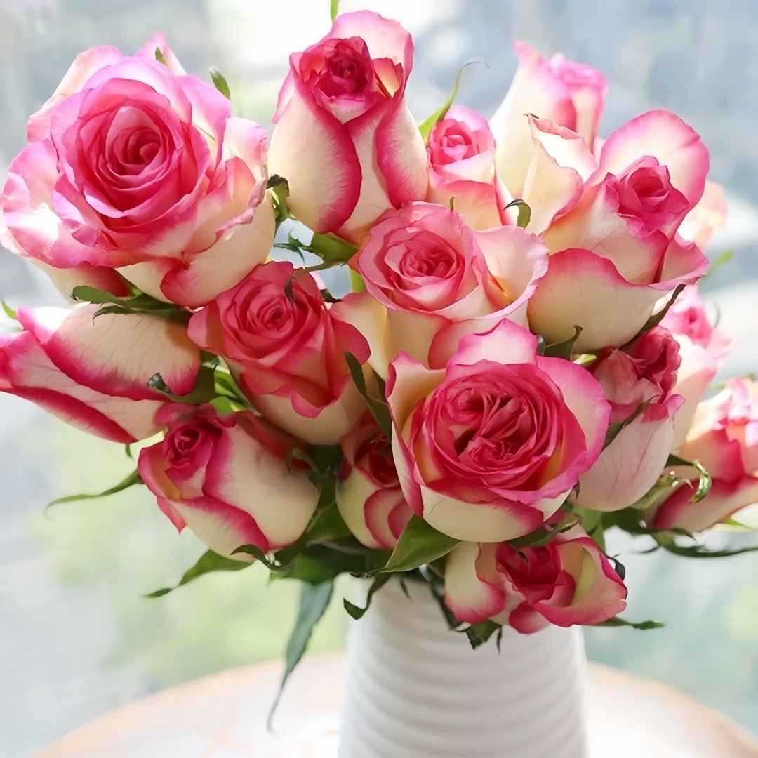 Red Sleeve Rose Plant|红袖 image 1