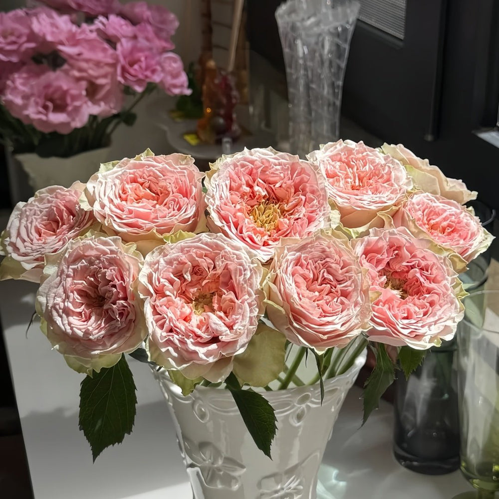 Sweet Eye Rose Plant|甜蜜眼 image 7