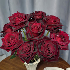 Black Baccara Rose Plant｜黑巴克 image 2