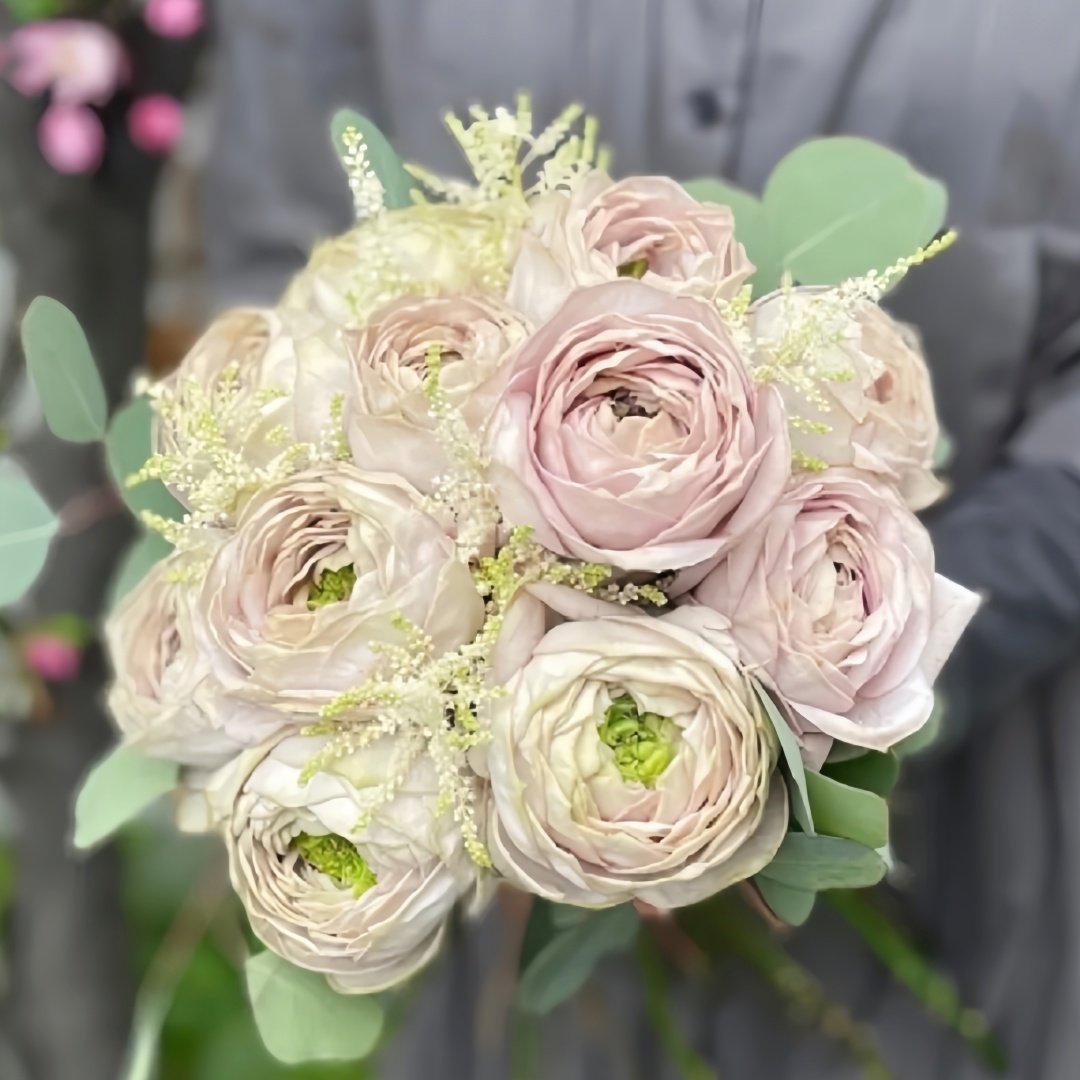 Shelvers Rose Plant | 贝壳花瓶 image 3