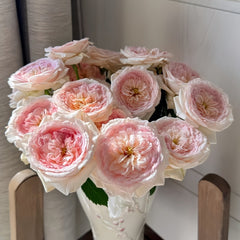 J'adore Rose Plant｜真我 image 0