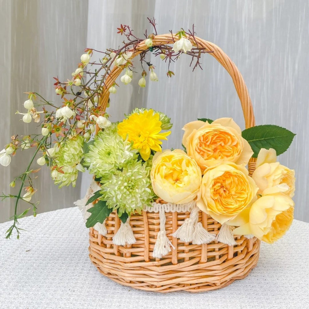 Bird Chirp Rose Plant|雀啾 image 5