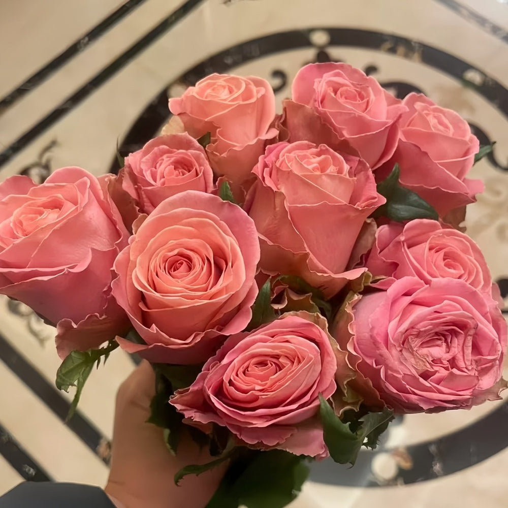 Hemosa Rose Plant|赫莫萨 image 7