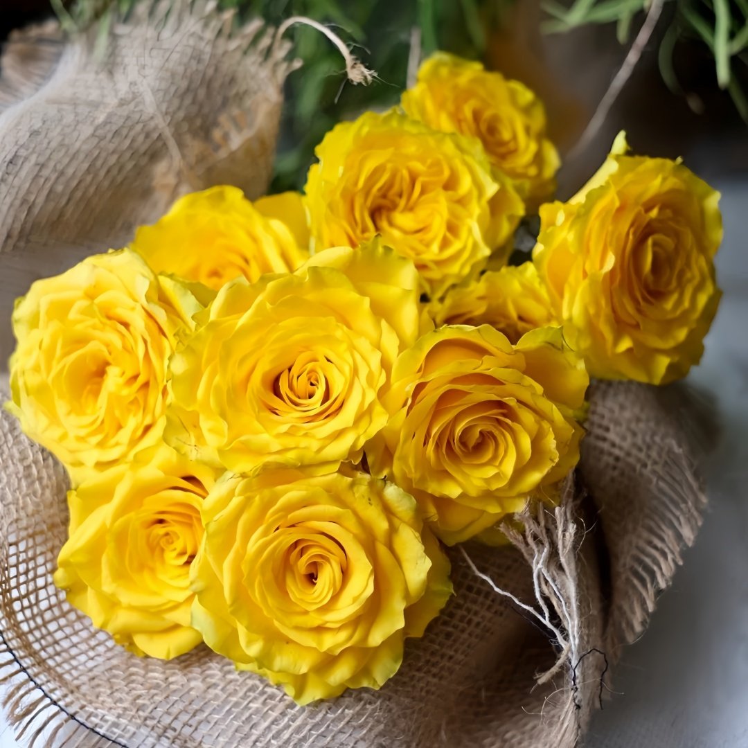 Yellow Breeze Rose Plant｜黄色布雷茨 image 5