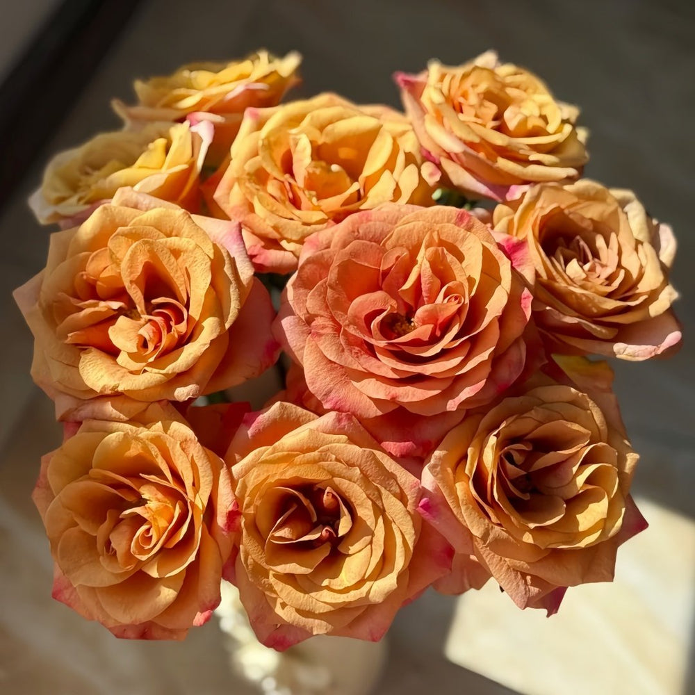 Symbol Rose Plant｜标志 image 9
