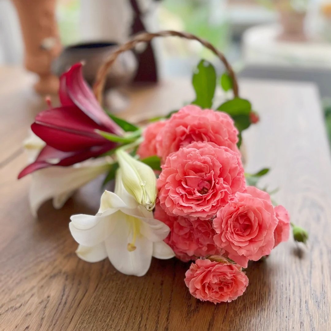 Corail Gelee Rose Plant｜珊瑚果冻 image 10