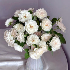 Lapin Rose Plant|小兔子 image 3