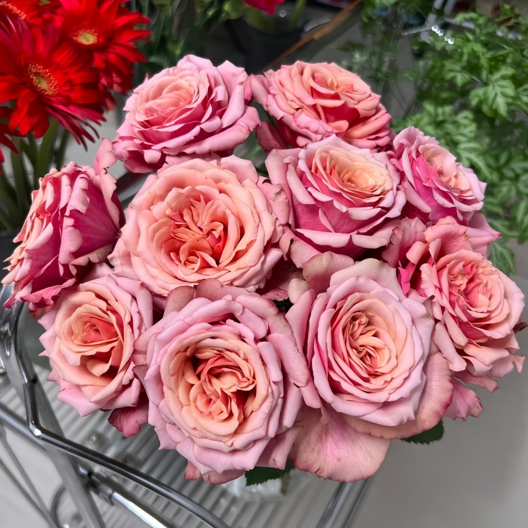 Cold Brew Rose Plant｜冷酿 image 6