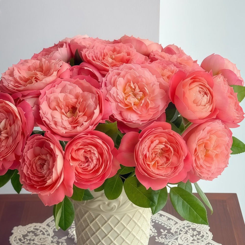 Queen of Hearts Rose Plant｜红桃女王 image 9