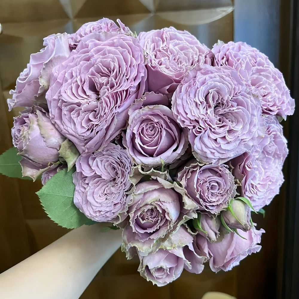 Blue Story Rose Plant｜蓝色物语 image 7