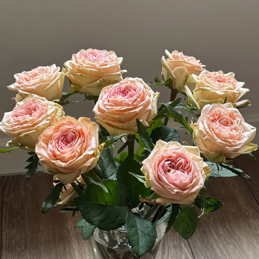 Art Nuvo Rose Plant|新艺术 image 6