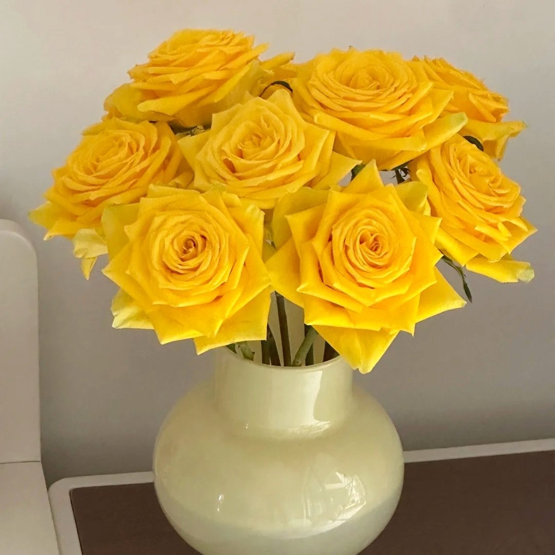 Moonwalk Rose Plant｜月光漫步 image 10