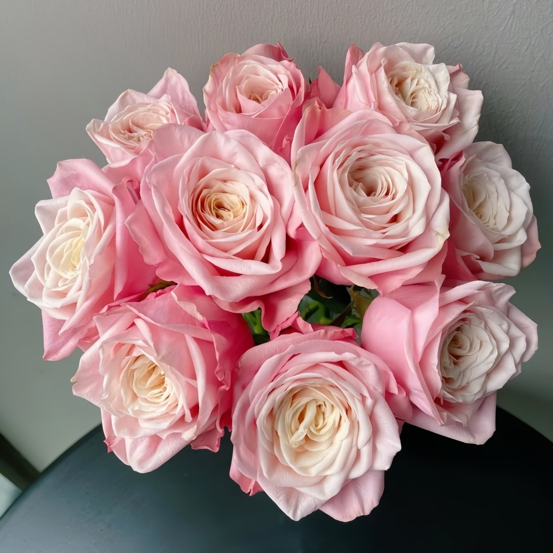 Supless Rose Plant｜甜蜜奶咖 image 7