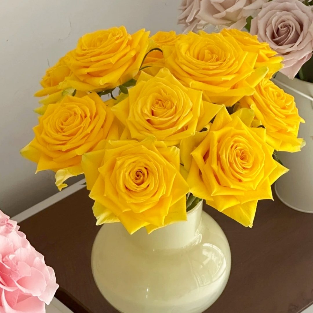 Moonwalk Rose Plant｜月光漫步 image 9