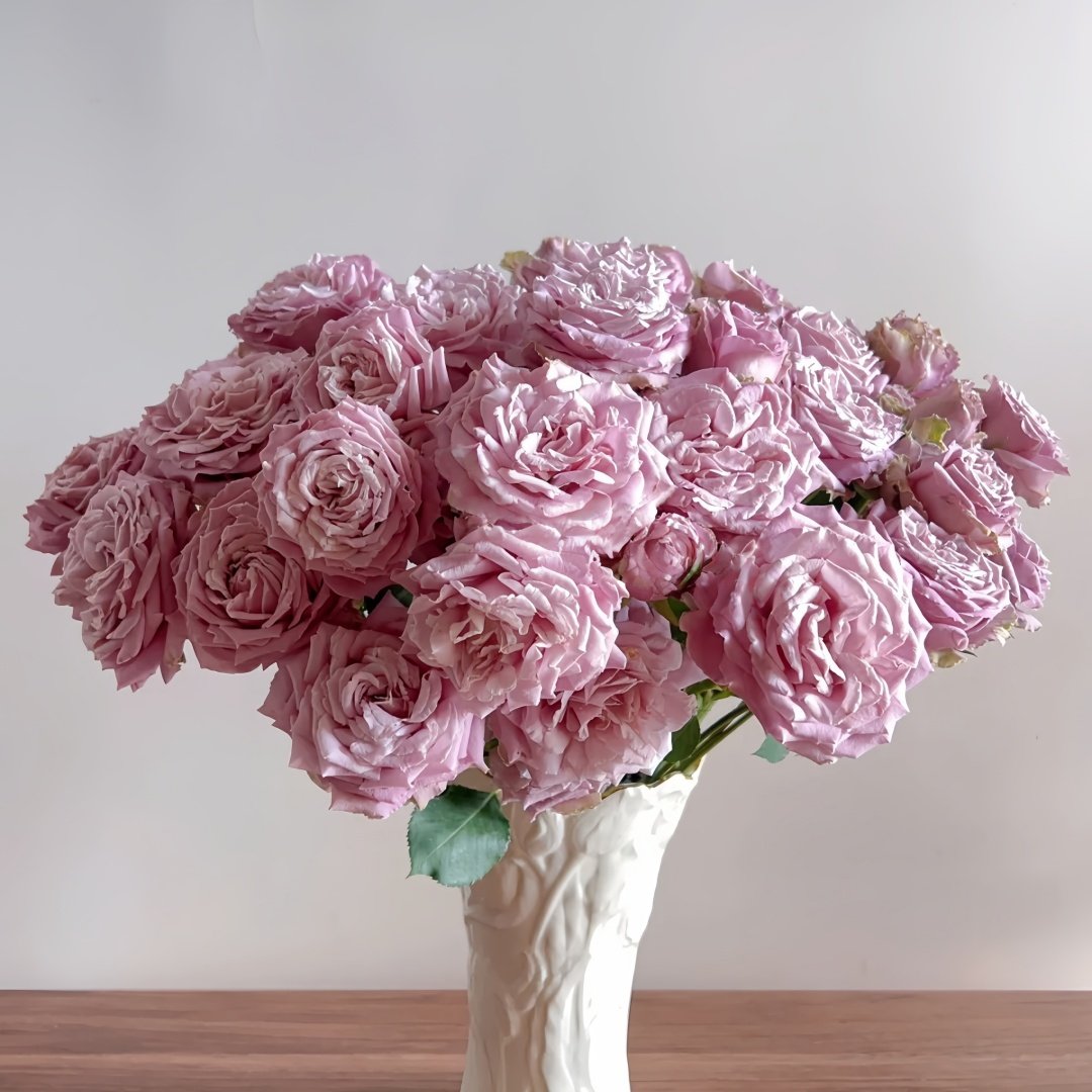 Blue Story Rose Plant｜蓝色物语 image 8
