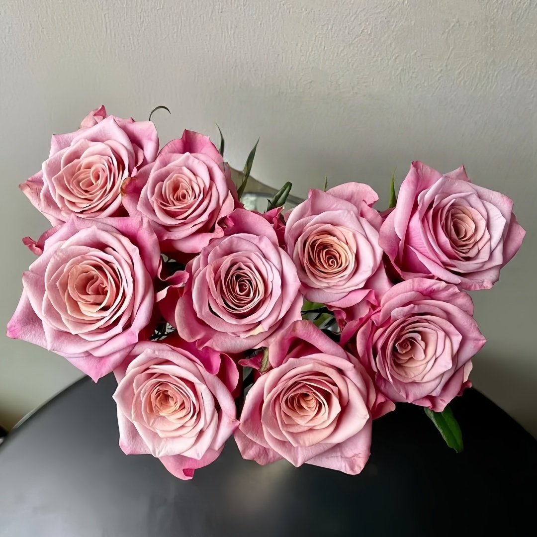 Purple Moon Rose Plant｜紫月 image 2