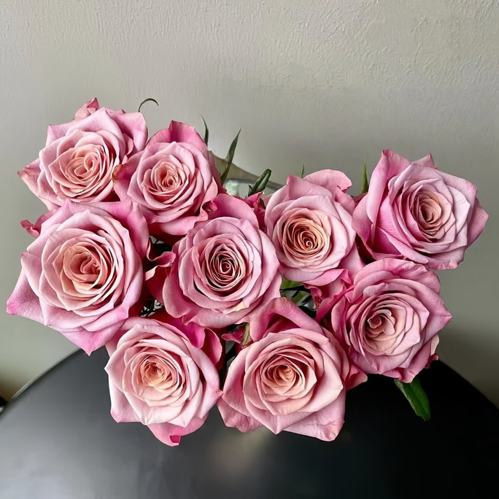 Purple Moon Rose Plant｜紫月 image 2