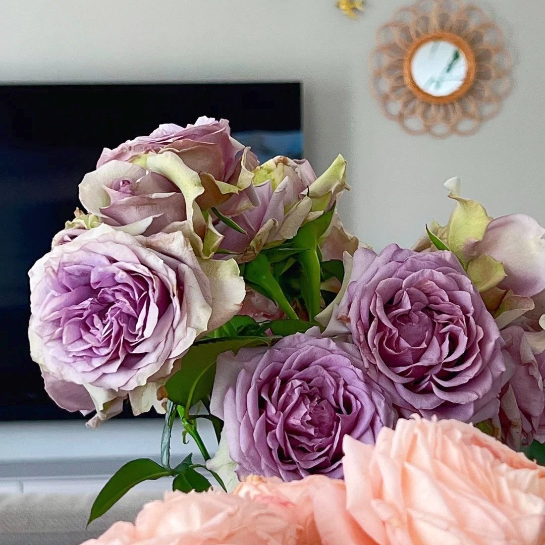 Coffret Rose Plant | 首饰盒 image 4